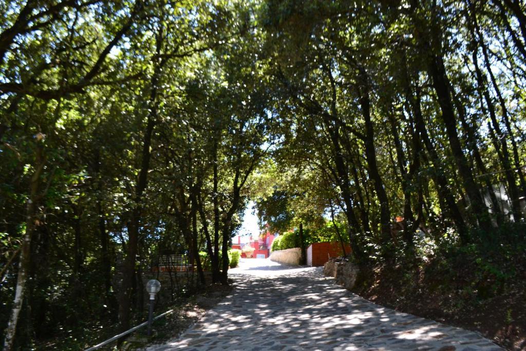 B&B Spring Περούτζια Εξωτερικό φωτογραφία