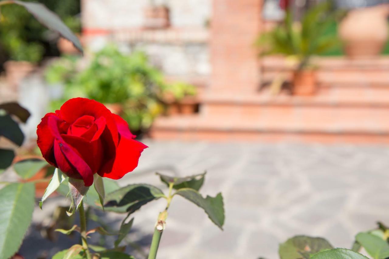 B&B Spring Περούτζια Εξωτερικό φωτογραφία