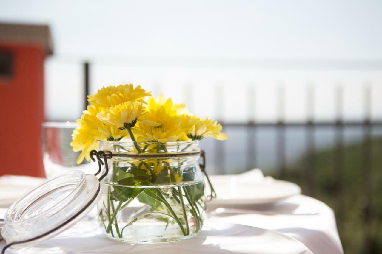 B&B Spring Περούτζια Εξωτερικό φωτογραφία
